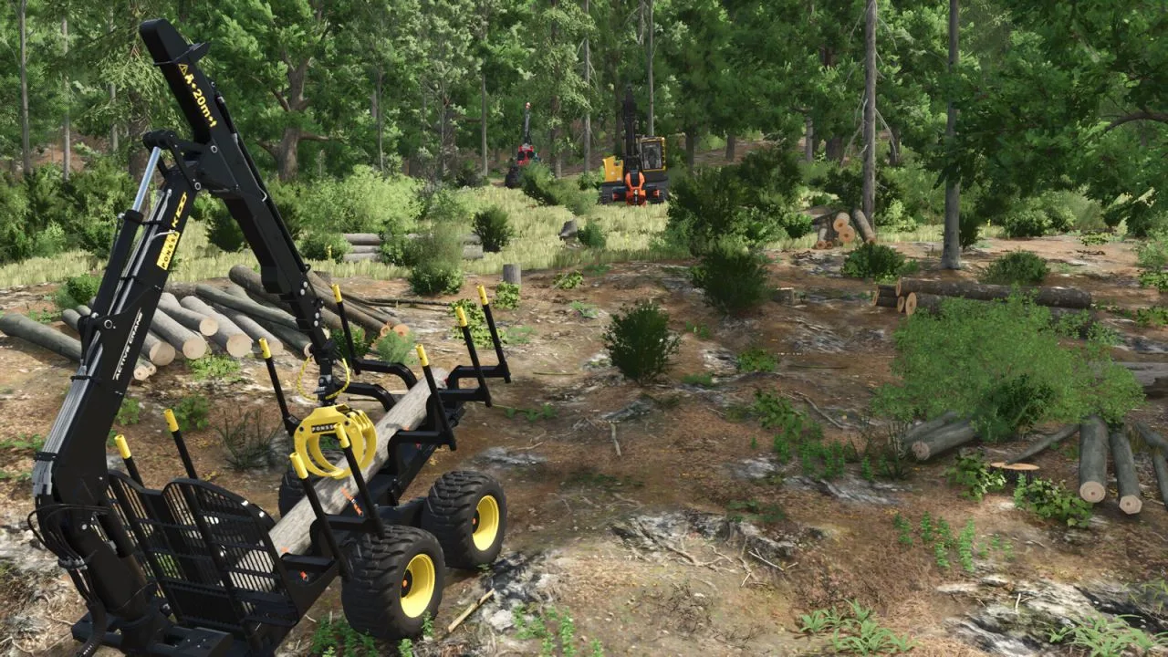 Lizard Forestry T20 Winch FS25