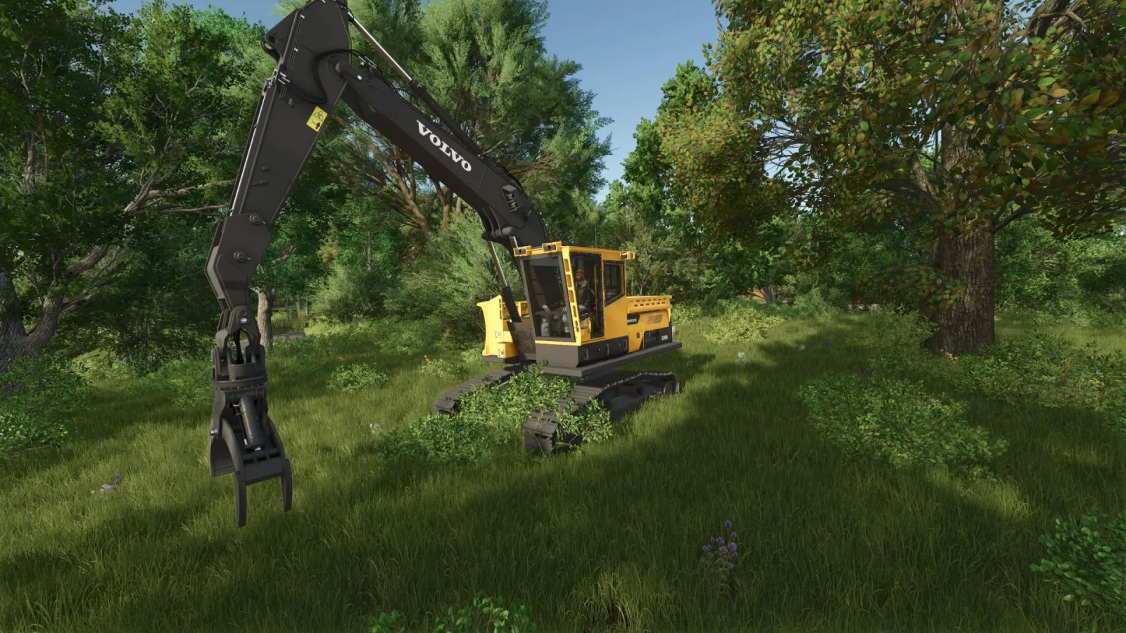 Volvo EC250DL (More Colisions) FS25