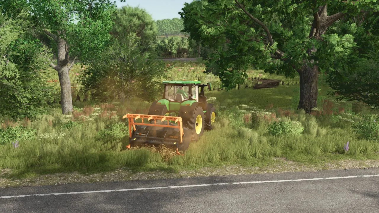 TMC Cancela TFR 250 FS25