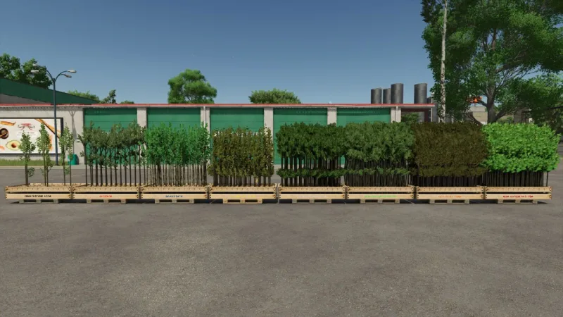Tree Sapling Pack FS25