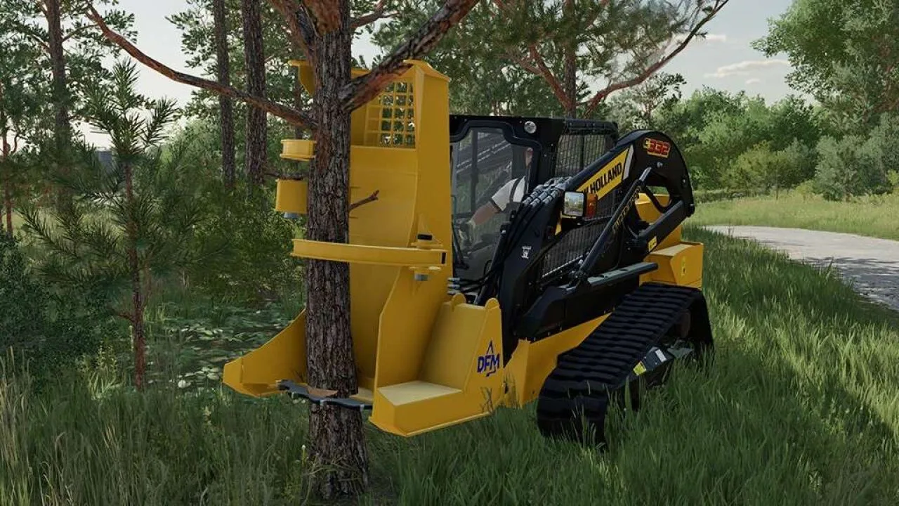 DFM TOOLS FS25