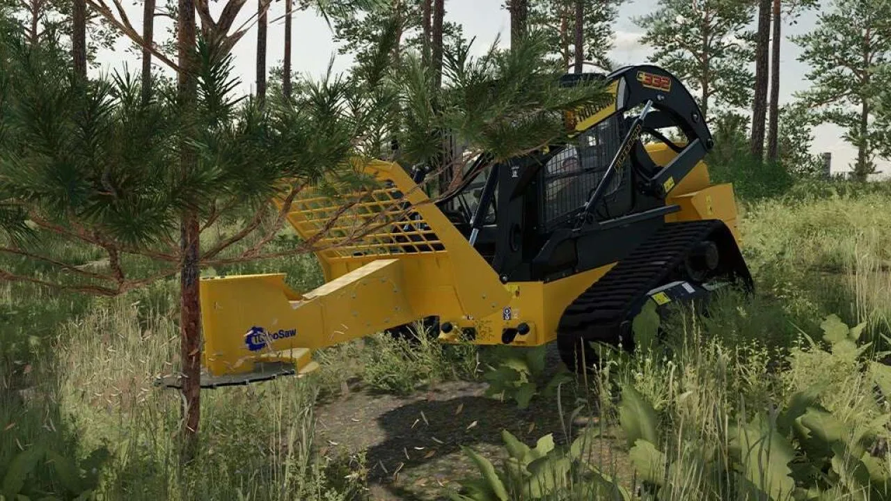 DFM TOOLS FS25