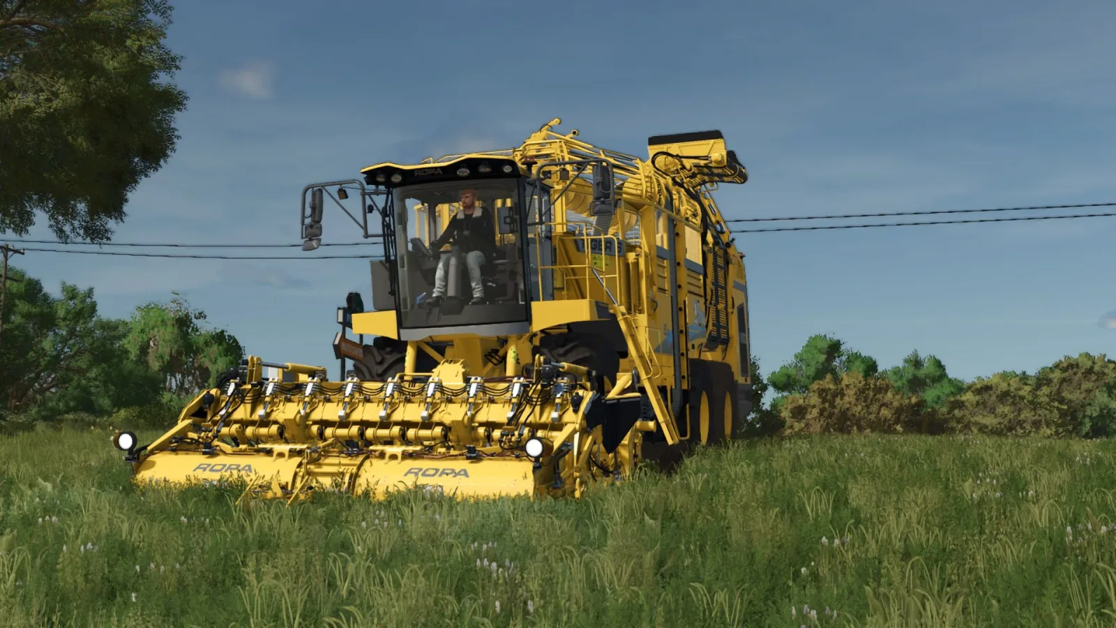 Ropa 6S (900 PS/1.000.000 l) Multifrüchte FS25