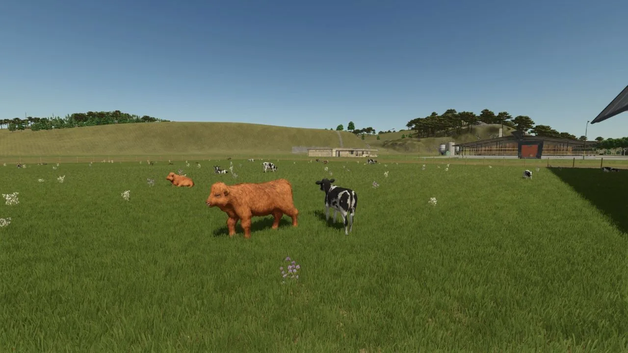 Storefront Stable Options For Husbandry V1.0