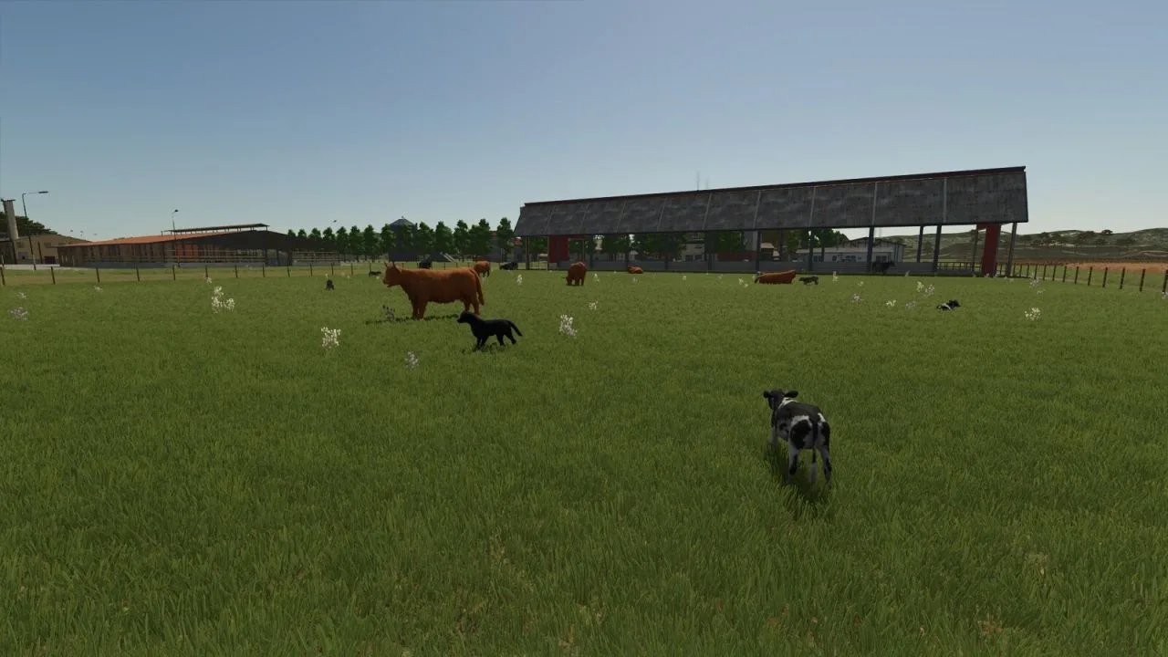 Storefront Stable Options For Husbandry V1.0