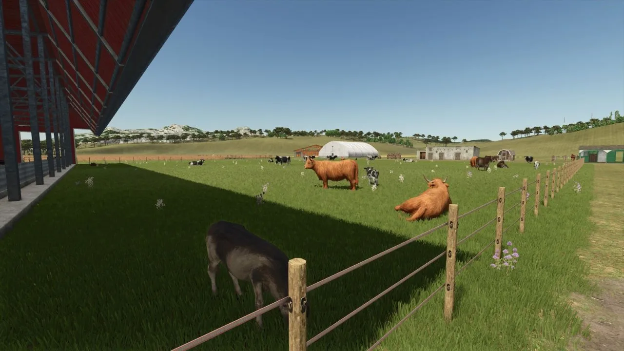 Storefront Stable Options For Husbandry V1.0