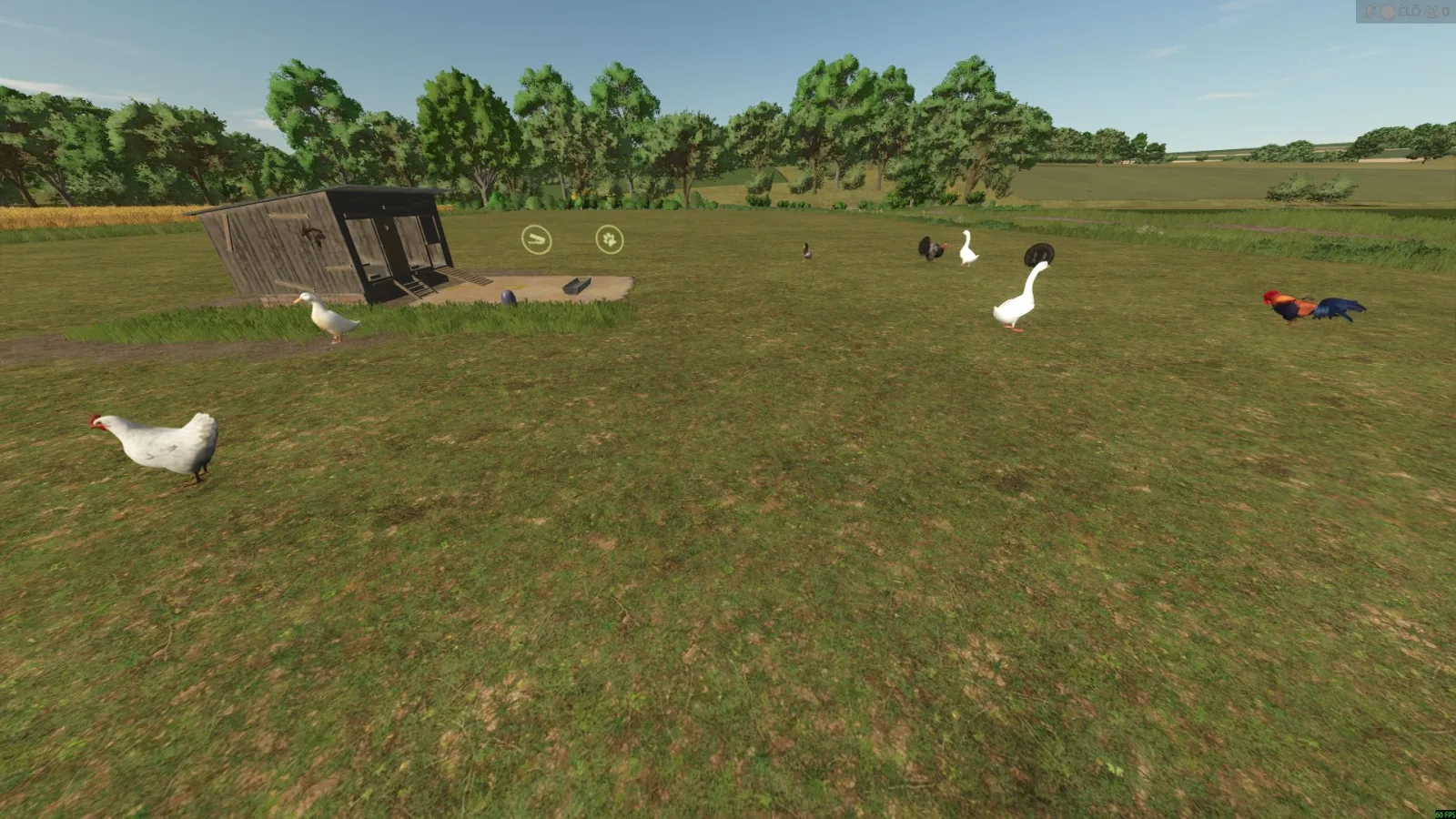 New Animals (Goose, Duck, Turkey, and Rabbit) FS25