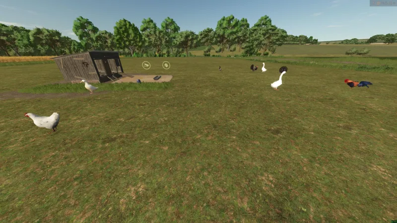 New Animals (Goose, Duck, Turkey, and Rabbit) FS25