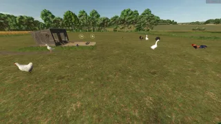 New Animals (Goose, Duck, Turkey, and Rabbit) FS25