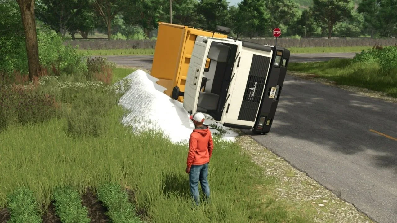 Loose Load FS25