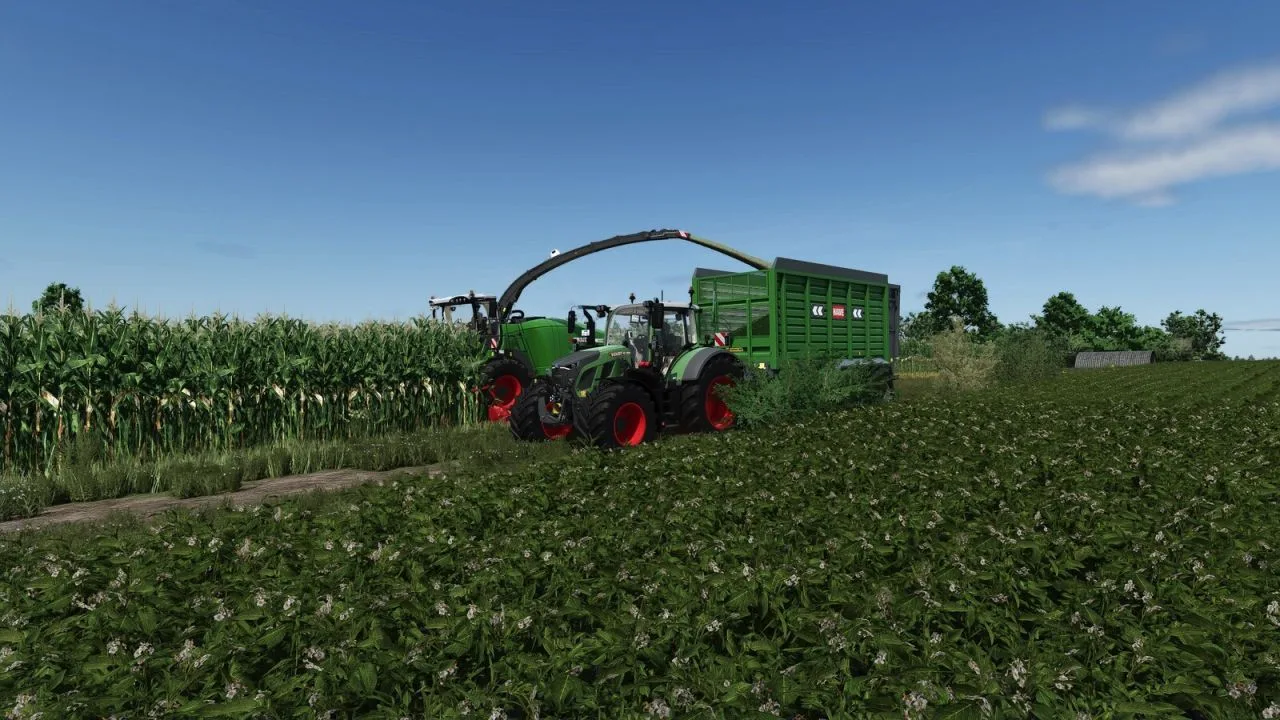 Hawe SLW 25 TN FS25