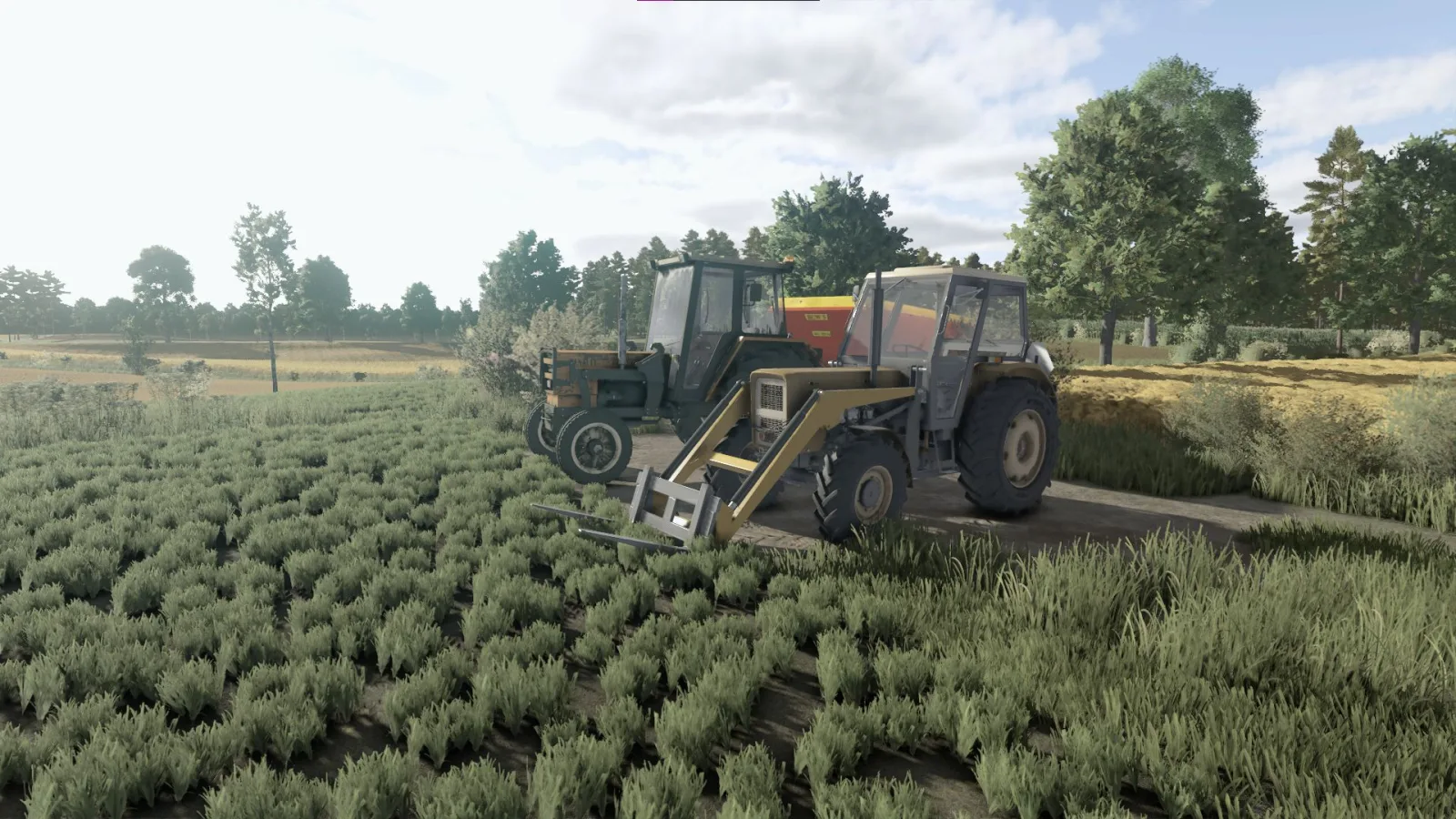 Skrzypek Shader FS25