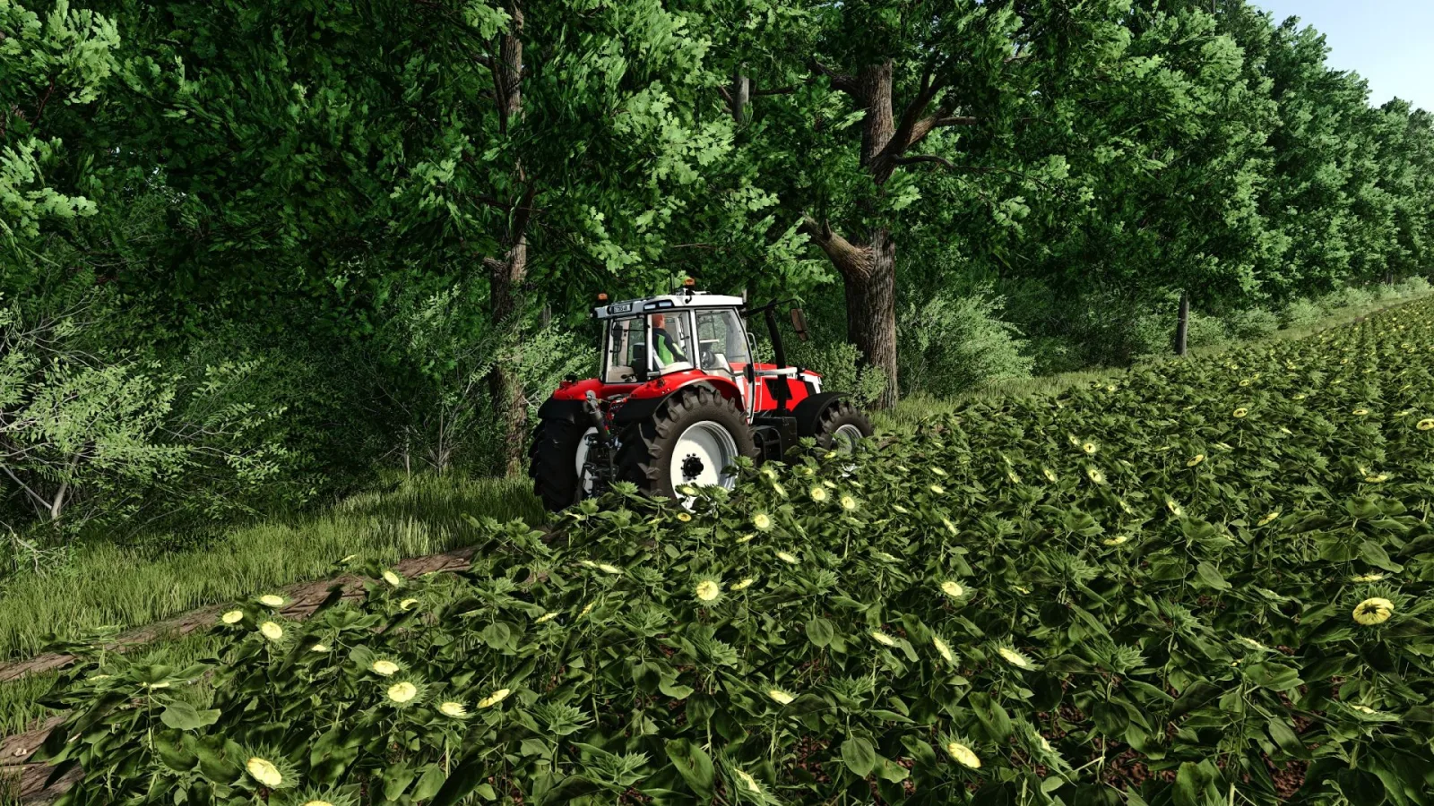 FS Realistic Shader FS25