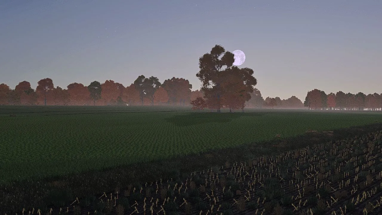 BTTm Reshade Preset FS25