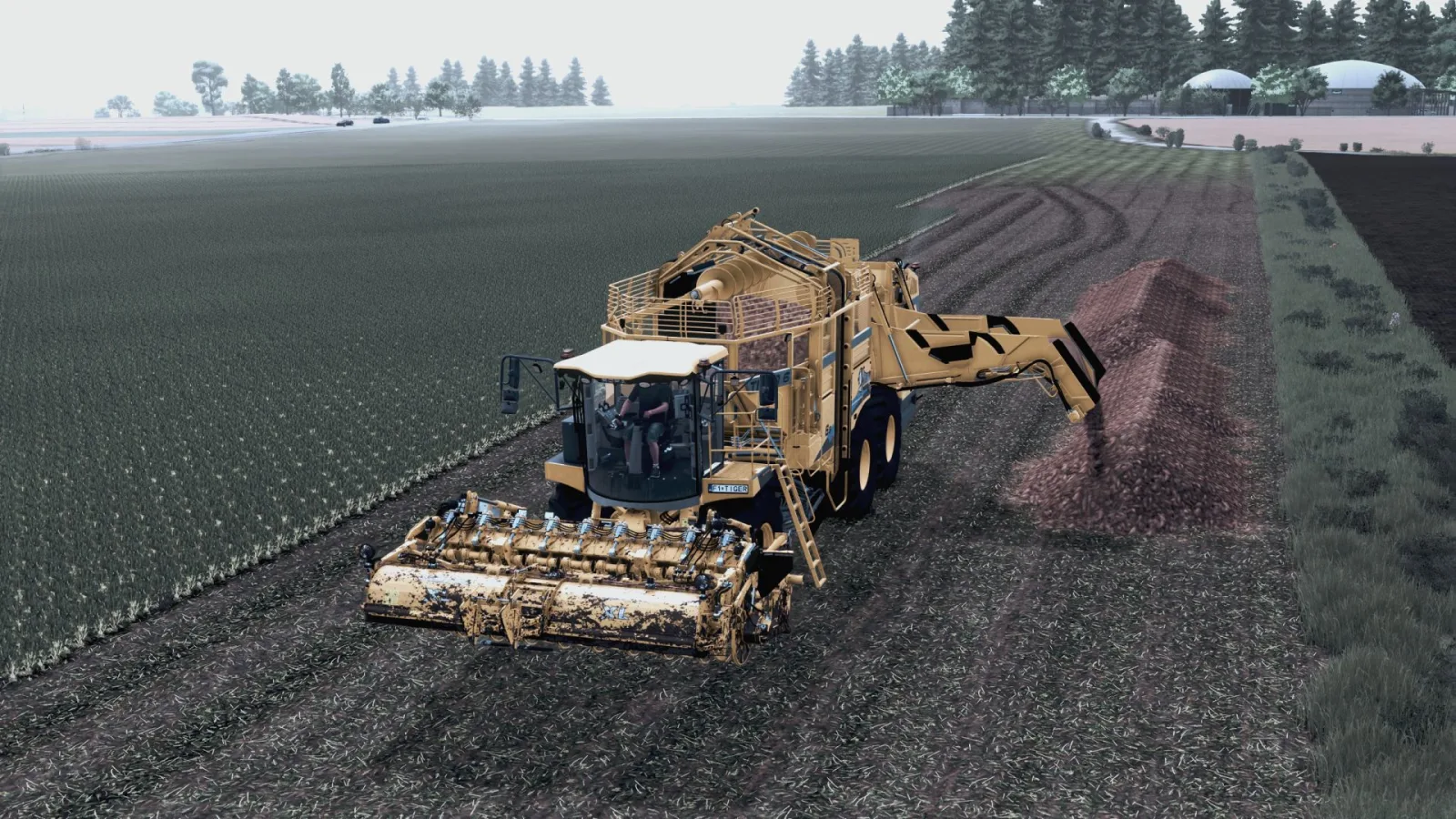 Krzychu- Realistic FS25 preset FS25
