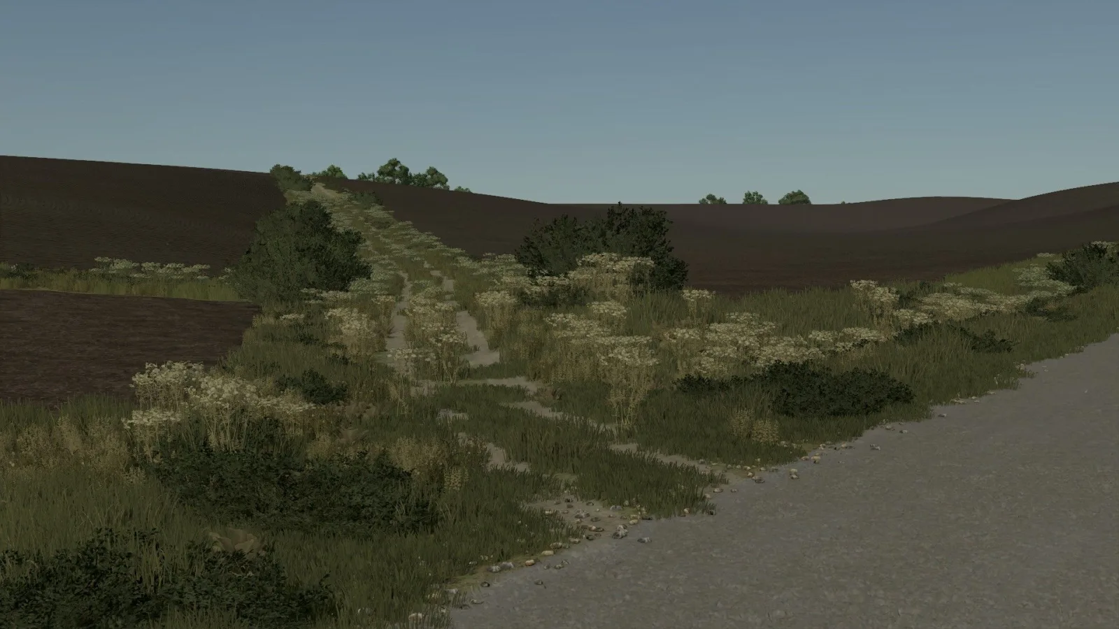 Custom Lighting FS25