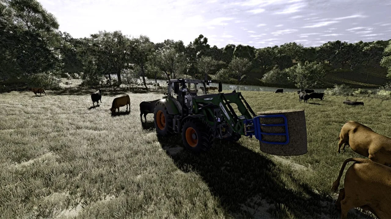 Realer Shader FS25