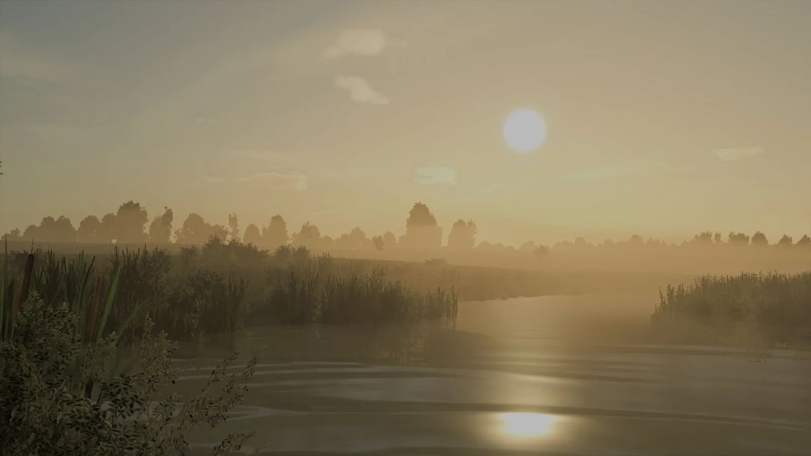 Oświetlenie & Preset Czarny317 (Shader) FS25