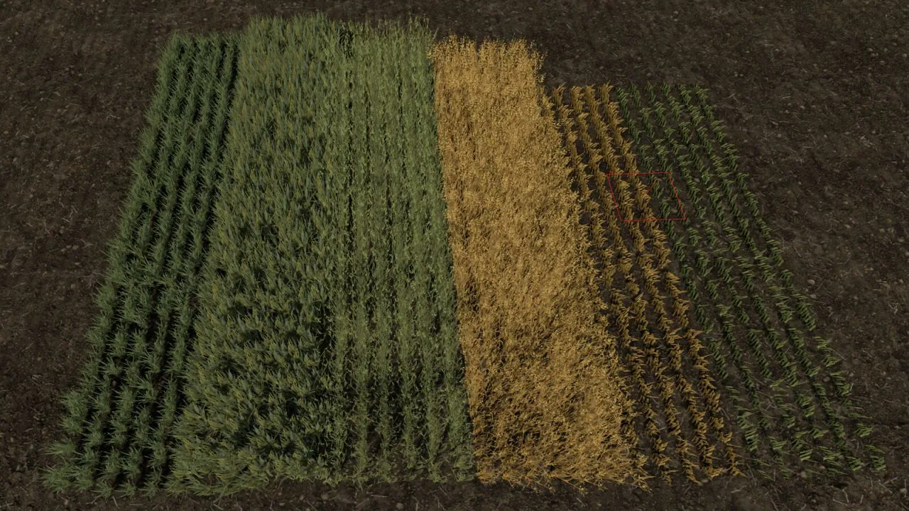 Row Seeding Barley, Oat, Wheat, Canola, Mulitfruit (Prefab) FS25