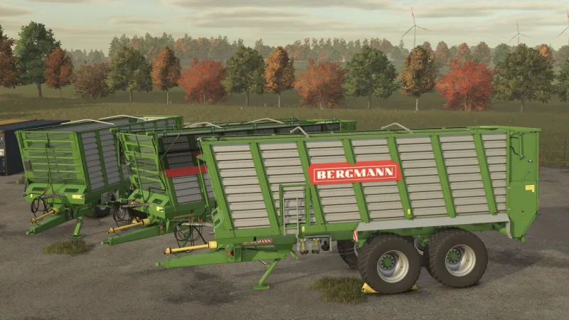 Bergmann HTW 45 FS25