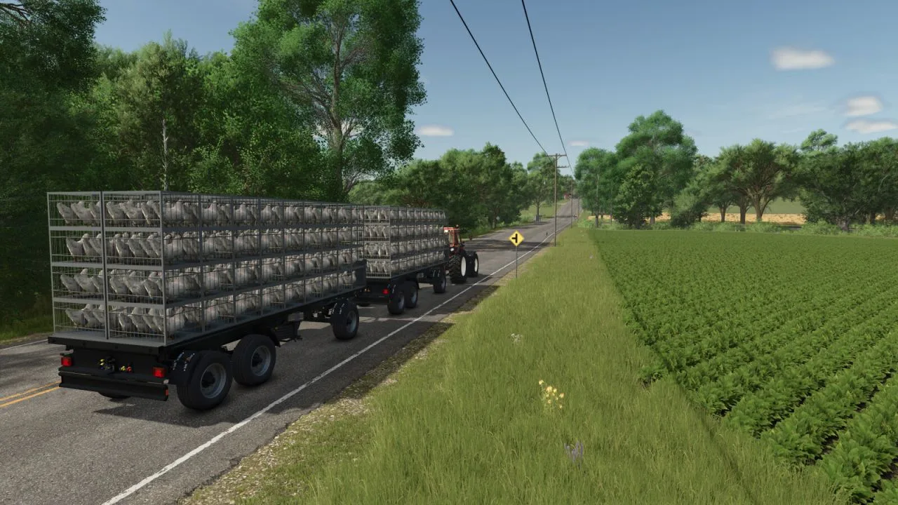 Chicken Transport Trailer Pack FS25 - screenshot 3