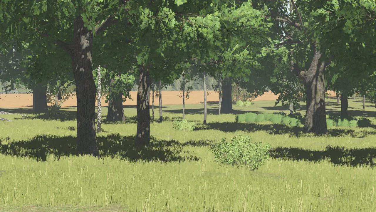 Pinewood Forest