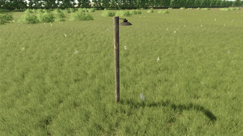 Old Street Lamp FS25