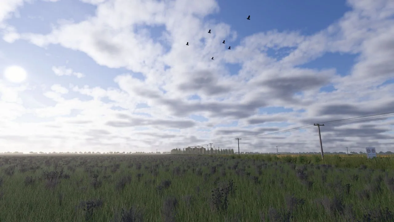 Chapadão Farm FS25 - screenshot 1