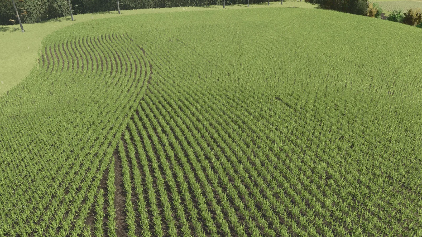 SuedBrazil 4x – Row Crop System FS25 - screenshot 2