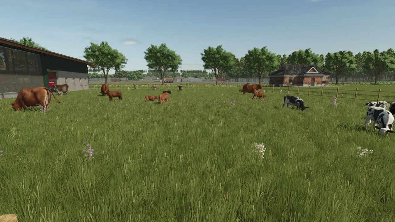 Starbuck, MN FS25 - screenshot 3