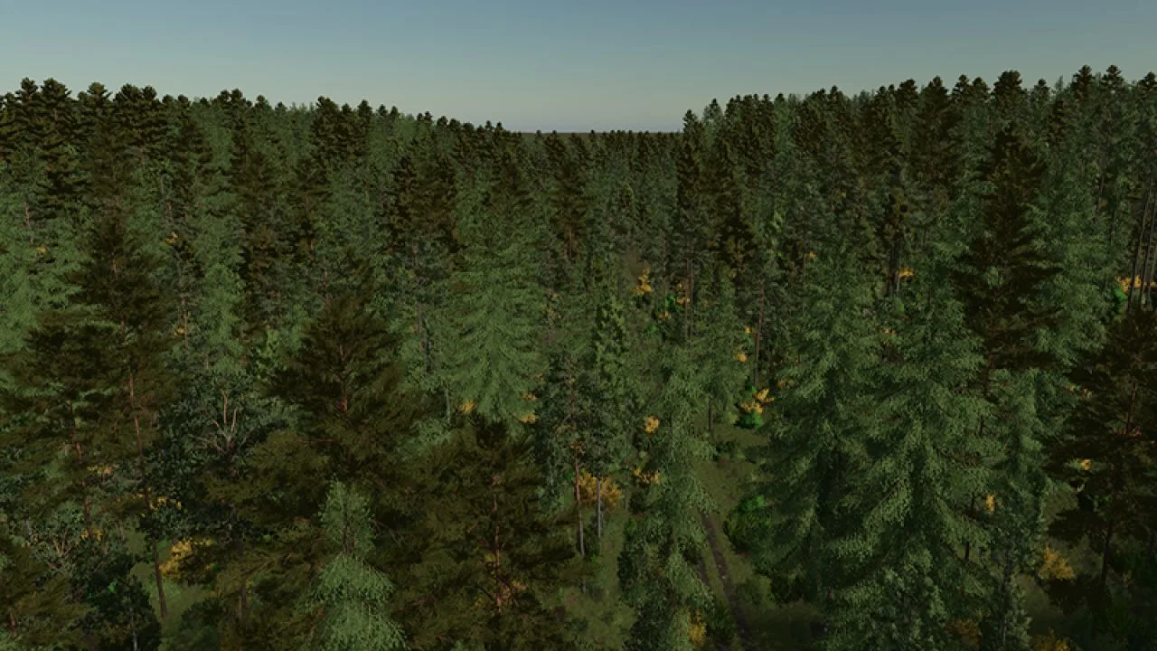 Back Roads County Forestry Edition 4x FS25 - screenshot 3