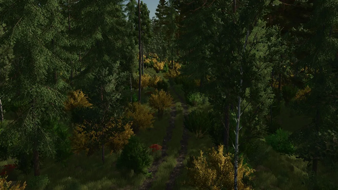 Back Roads County Forestry Edition 4x FS25 - screenshot 2