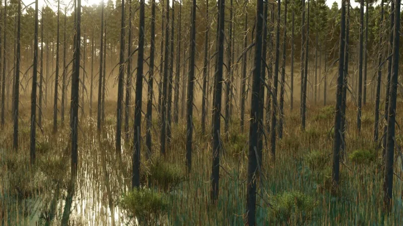 Umbreon Valley FS25