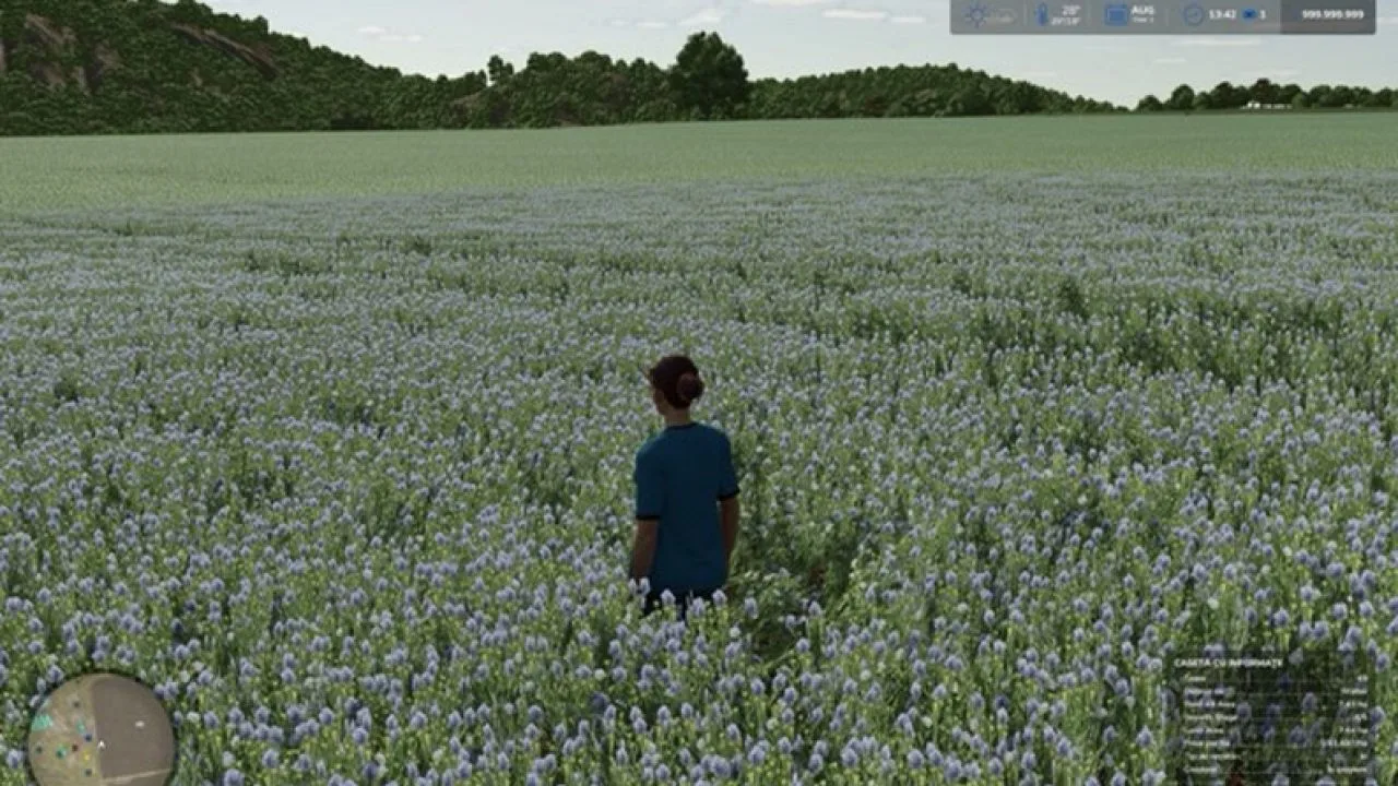 Judith Plains, Montana 4x Multifruit And Productions Edit FS25 - screenshot 3