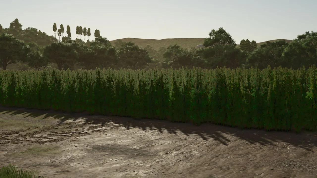 Riverbend Springs – Squigglze Edition FS25 - screenshot 3