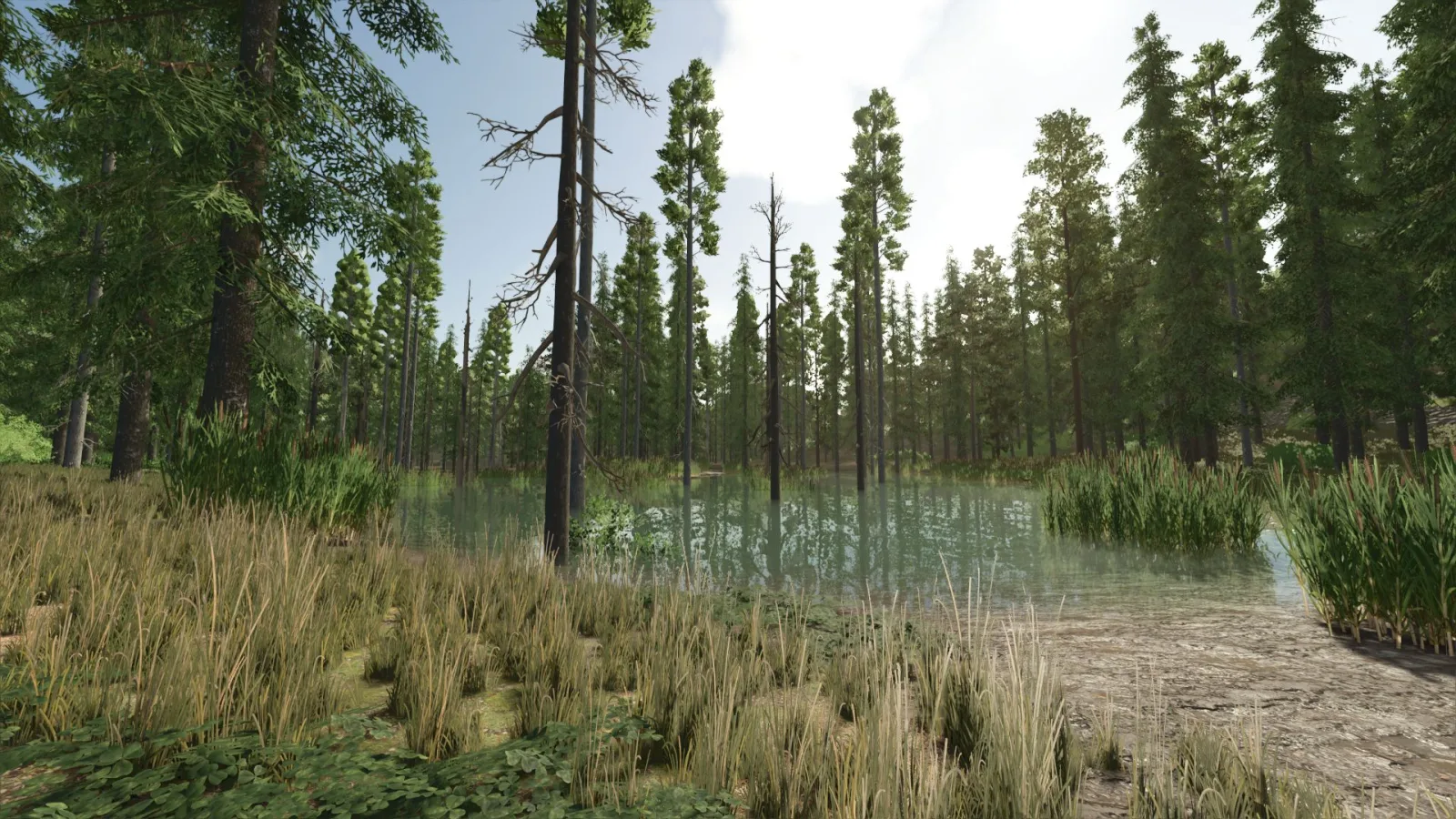 Riverbend Springs Forest FS25 - screenshot 3