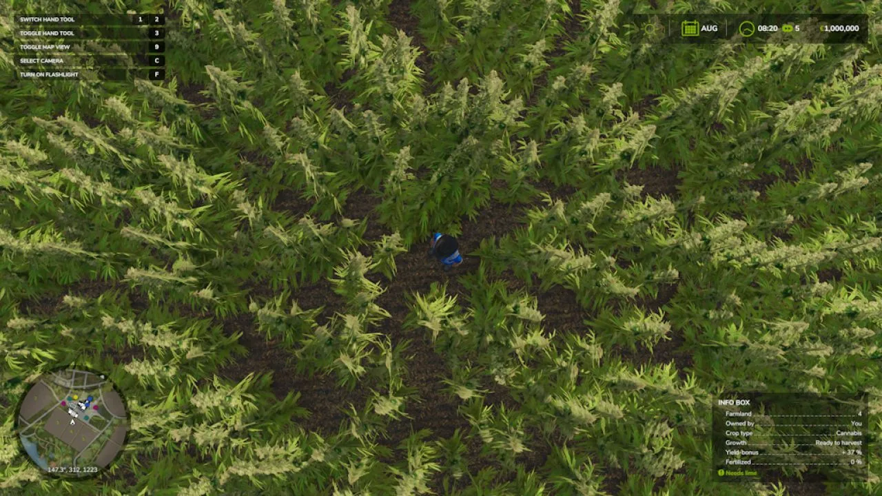 Riverbend Springs - Cannabis Edition FS25 - screenshot 3