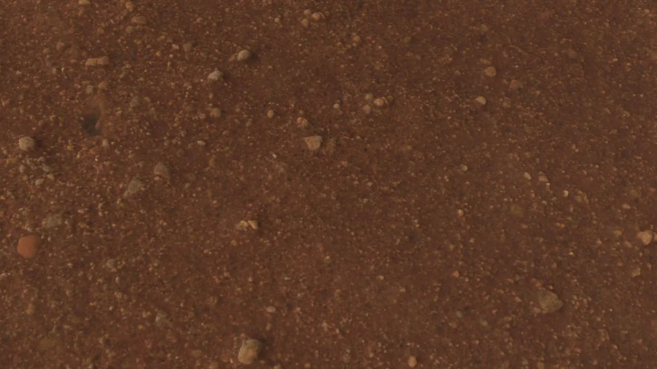 Map 4x red lands FS25 - screenshot 1
