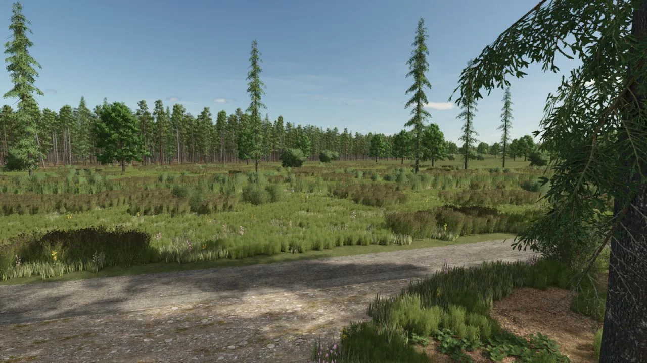 Sunshine Forest FS25 - screenshot 1