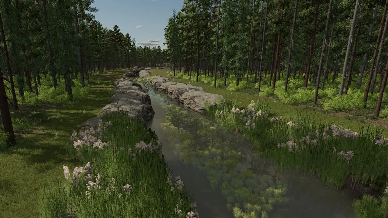 InTo The Woods FS25 - screenshot 1