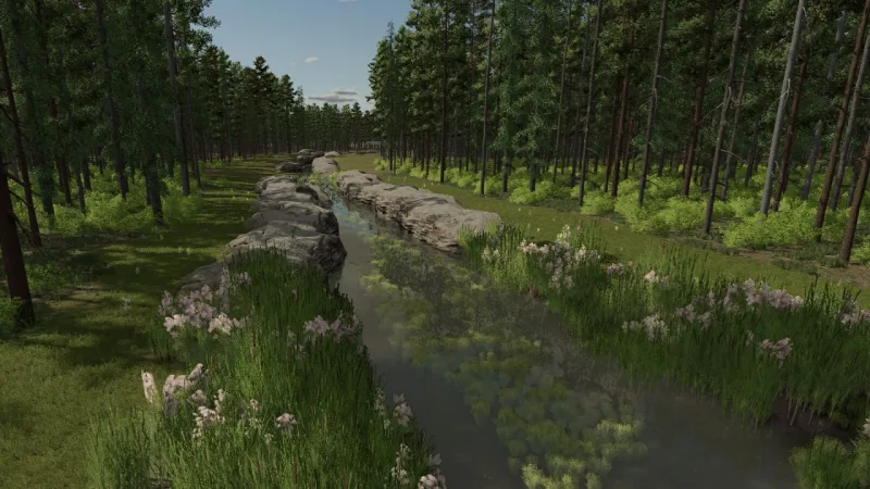 InTo The Woods FS25