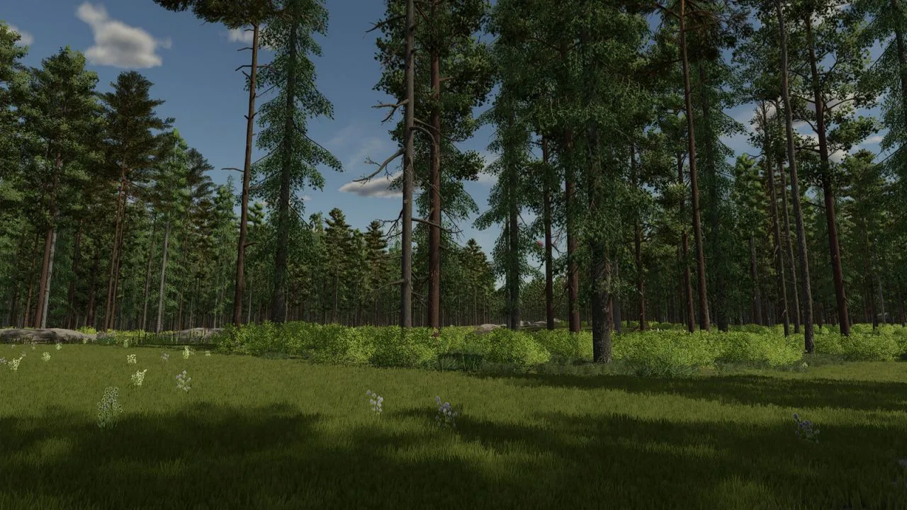 InTo The Woods FS25 - screenshot 3