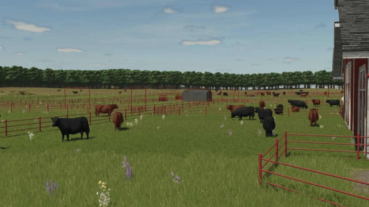 Cowboi Ranch FS25 - screenshot 2