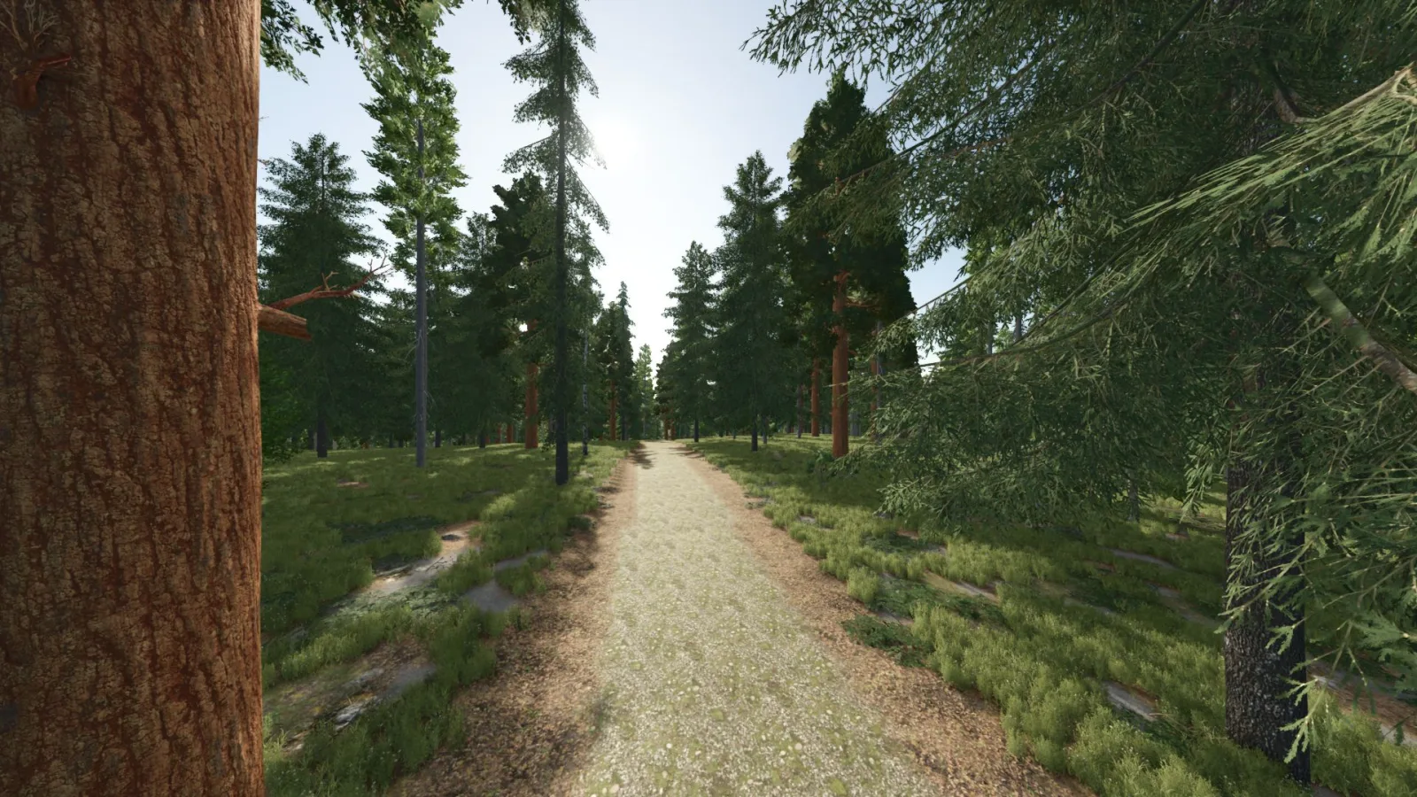 Glen Hon, Tasmania (Australia) FS25 - screenshot 3