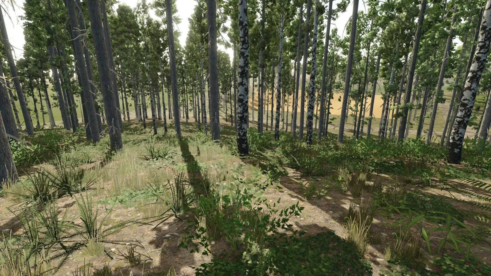 Old Kiwi Farm FS25 - screenshot 3