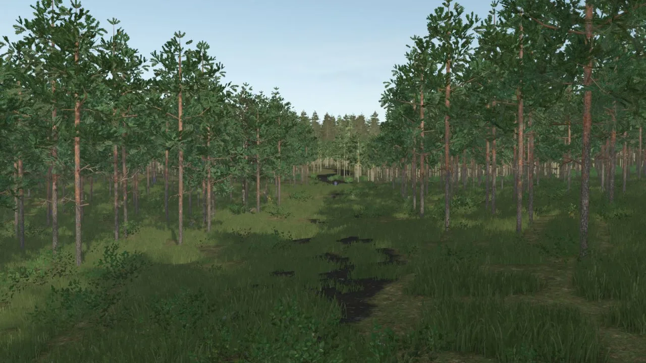 Pinewood Forest Next Generation FS25 - screenshot 2