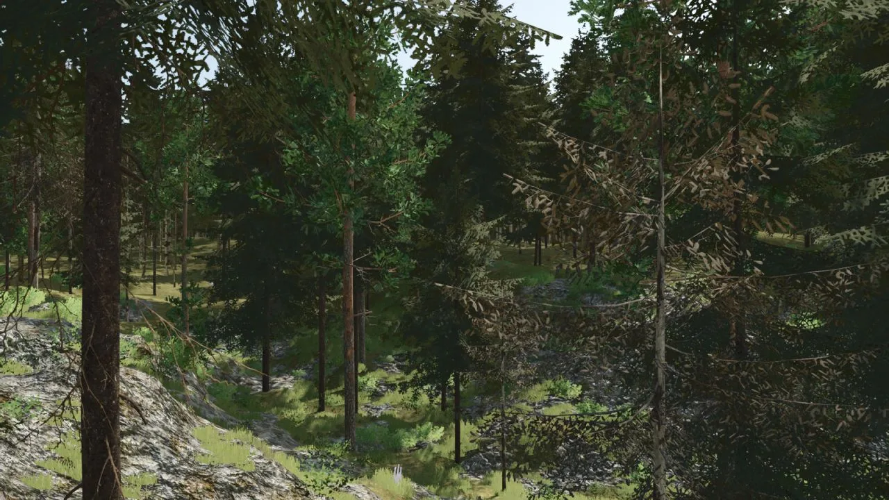 Pinewood Forest Next Generation FS25 - screenshot 3