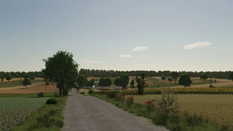 Wola Zabierzowska FS25