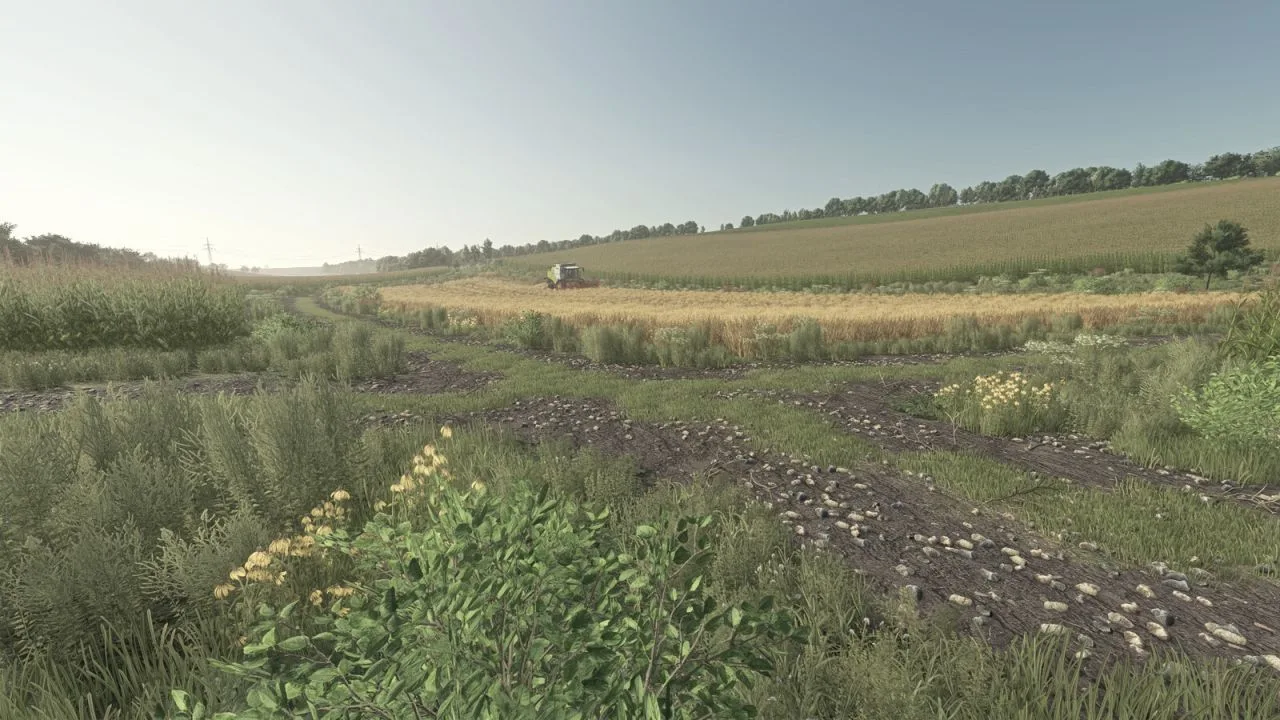 Sivita FS25 - screenshot 3