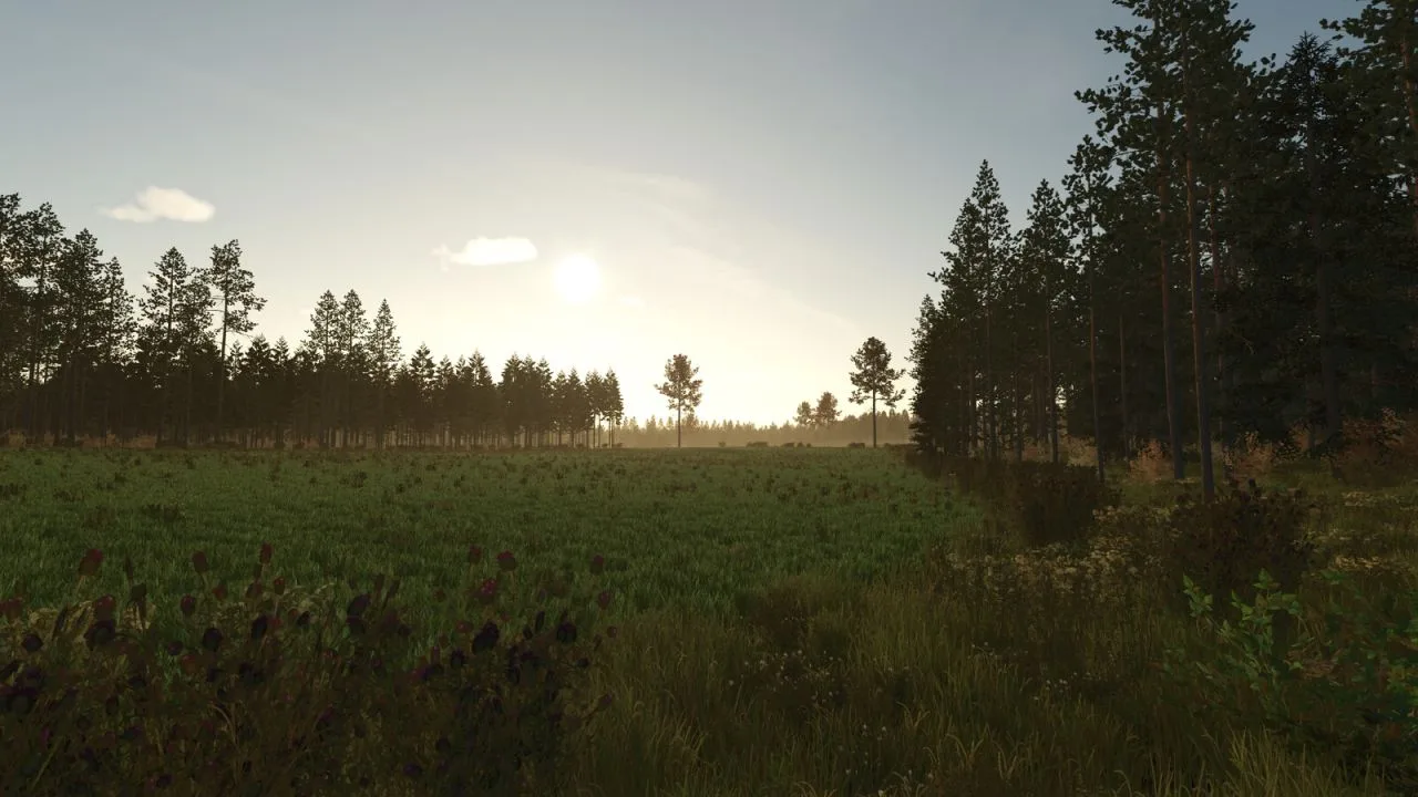 Kivi Küla FS25 - screenshot 1